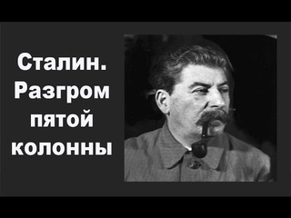 Сталин. Разгром пятой колонны