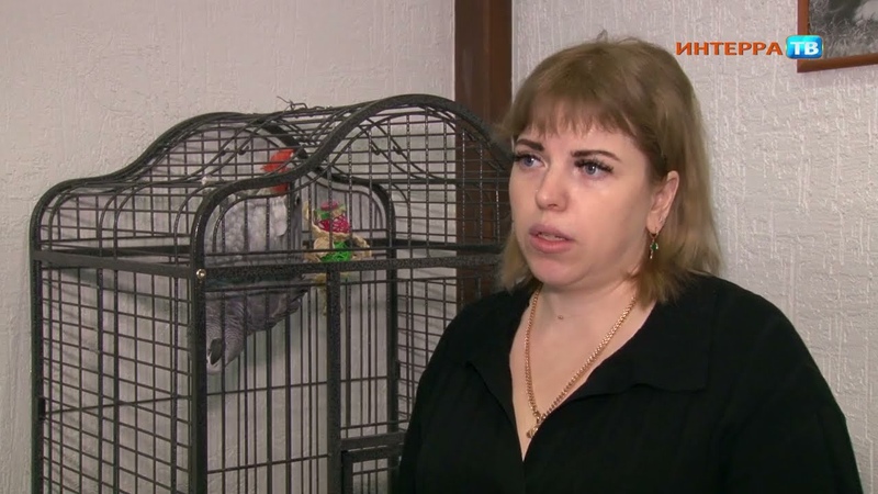 Судится с зоомагазином, требуя компенсацию за лечение