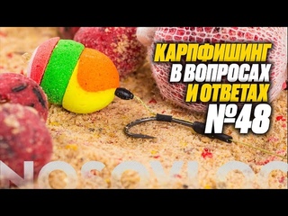 Карпфишинг в вопросах и ответах #48, Колесников А.