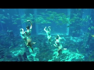 Stunning Synchronized Swimming by Mermaids of Arabia at Atlantis