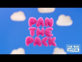 Видео 210825 Анимационный трейлер PANTHEPACK