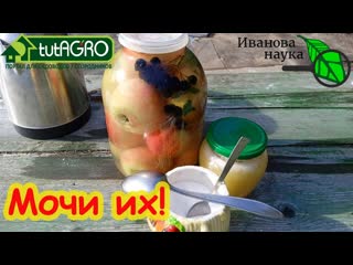 ОЧЕНЬ ВКУСНЫЕ МОЧЕНЫЕ ЯБЛОКИ НА МЕДУ. Пошаговый рецепт и секреты домашней технологии.