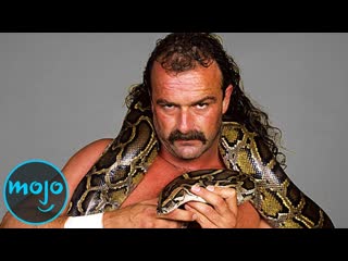 The Tragic Story of Jake The Snake