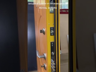 Металлическая входная дверь с багетом  RD   024
