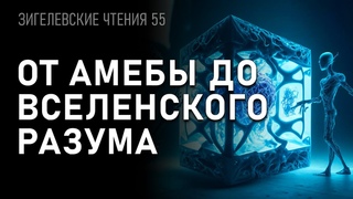 От амёбы до вселенского разума. Сергей Сухонос. З.Ч.55