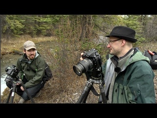 Сравнительный тест Nikon D800E и Pentax 645D от Nick Devlin