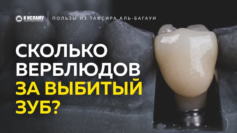 Сколько верблюдов за выбитый зуб Какая вира за увечья