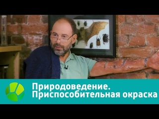 Природоведение. Приспособительная окраска | Живая Планета