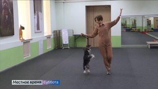 Собака жительницы Владимира стала звездой интернета