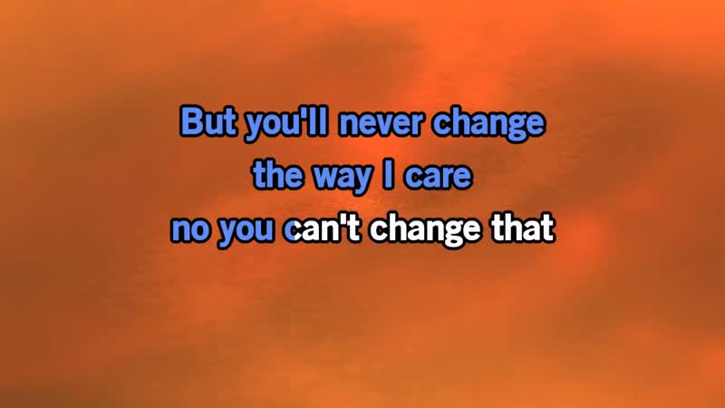 Raydo Feat. Ray Parker, Jr. You Cant Change That Karaoke