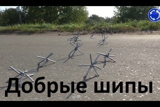 Вектор Движения №89. Добрые шипы.