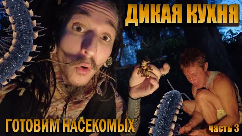ДИКАЯ КУХНЯ В НАСЕКОМЫХ НА , индия (часть