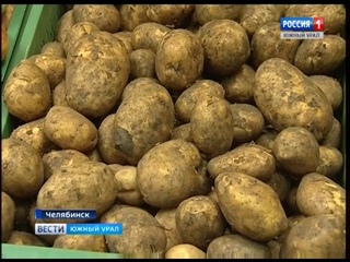 Овощи агрокомплекса Чурилово