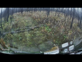 20231007 волчиха, едем по сгоревшему лесу
