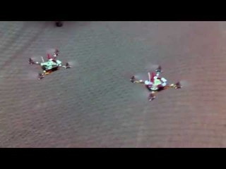 A Swarm of Nano Quadrotors