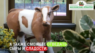 «Московские ярмарки»: павильон в Жулебине