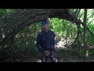 Айдар абый Файзрахманов безне Бирз джунглиена алып тш, дуслар. Нигез 7: Чытырман