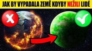 Jak by vypadala zem, KDYBY NEILI LID