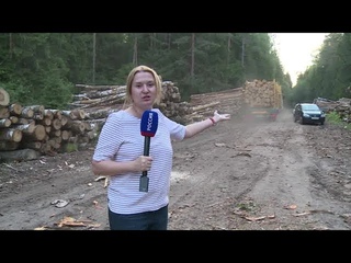Лесорубы.Специальный репортаж.