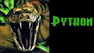 Python (2000)