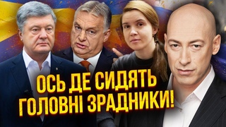 ГОРДОН: Почалося! Залужного хочуть ЗВІЛЬНИТИ. Злили шпигунів РФ у Киві. Кремль підставив Порошенка