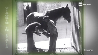 Vita quotidiana nel paese di Buti (Pisa) nel 1958