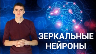 Причины поведения. Секреты зеркальных нейронов. ПОЗНАНИЕ #3