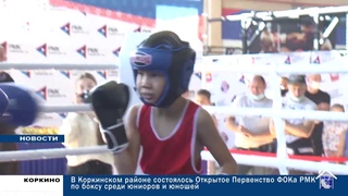 В КОРКИНСКОМ РАЙОНЕ СОСТОЯЛОСЬ ОТКРЫТОЕ ПЕРВЕНСТВО ФОКА РМК ПО БОКСУ СРЕДИ ЮНИОРОВ И ЮНОШЕЙ