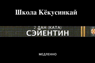 СЭЙЕНТИН (МЕДЛ). 2 ДАН