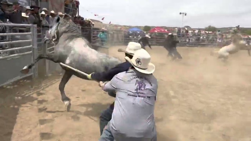 Team Estaves 1st place Jones Brothers Wildhorse race, 2022 second