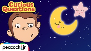Why Do We Sleep | CURIOUS QUESTIONS