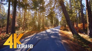 4K/60FPS Scenic Drive - Chiwawa River Road, Leavenworth, Washington State. Part 1
