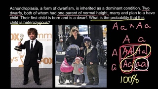 Peculiarities of  Achondroplasia (form of dwarfism) Inheritance