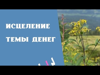 Исцеление блоков на Деньги