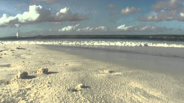 RELAXTION Carribean paradise beach Little, Klein Bonaire Ocean sea