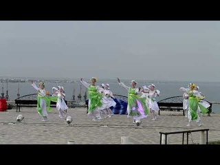 Ромашковые поля