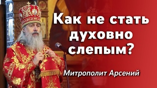 Проповедь митр. Арсения в Неделю 6-ю по Пасхе о слепом  г.