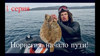 🔱🤿❄️ Холодная охота, горячий трофей🔥🐟oсень 2023г. Норвегия 🇧🇻 , остров Senja, 👉👍