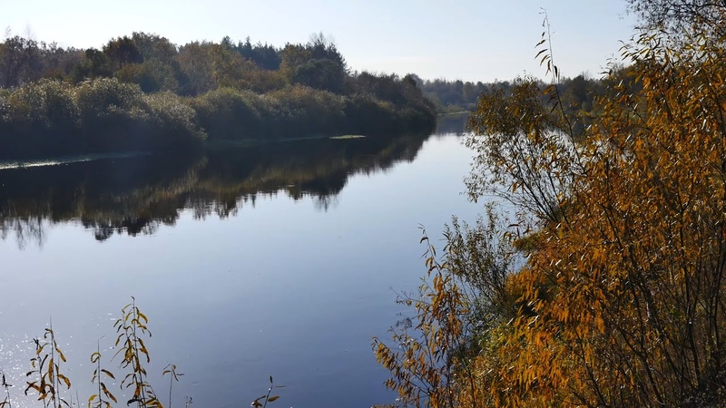Beautiful nature in the morning on the autumn river, Background music for stress relief and