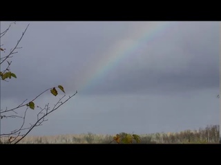 Иеромонах Роман. Молись, народ! (Мне говорят (уж эти богословы!)...)