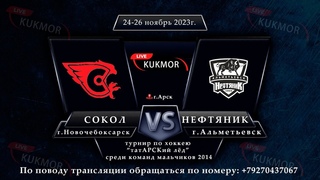 Нефтяник (г.Альметьевск) -  Сокол(г.Новочебоксарск)