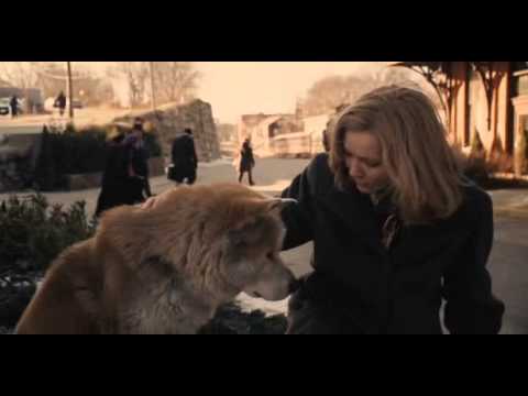 Hachiko 10 Years and Still