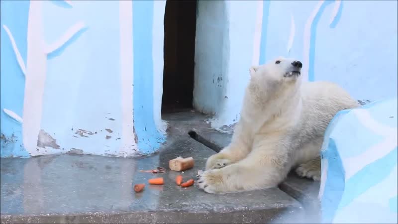 Чумазый Кай покушал, но мыться не