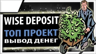 Новое видео по проекту WiseDeposit вывод денег