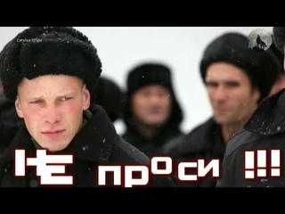 Андрей Шишкин - Строгий Режим (Студия Шура) клипы шансон лучшие