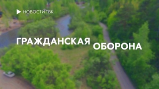 Гражданская оборона: как правильно собирать грибы