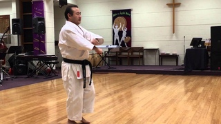 Shito-ryu Unshu