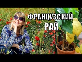 Французский БЫТ | Где французы покупают РАССАДУ Французский Рай для САДОВОДОВ! ОНИ всё СЪЕЛИ!