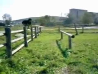Em'MiL и его команда The South Ural Alliance Parkour, Челяб. обл., Сулея, 2007