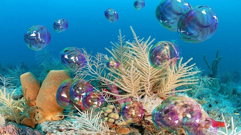 Free Bubbles Screensaver 4 K